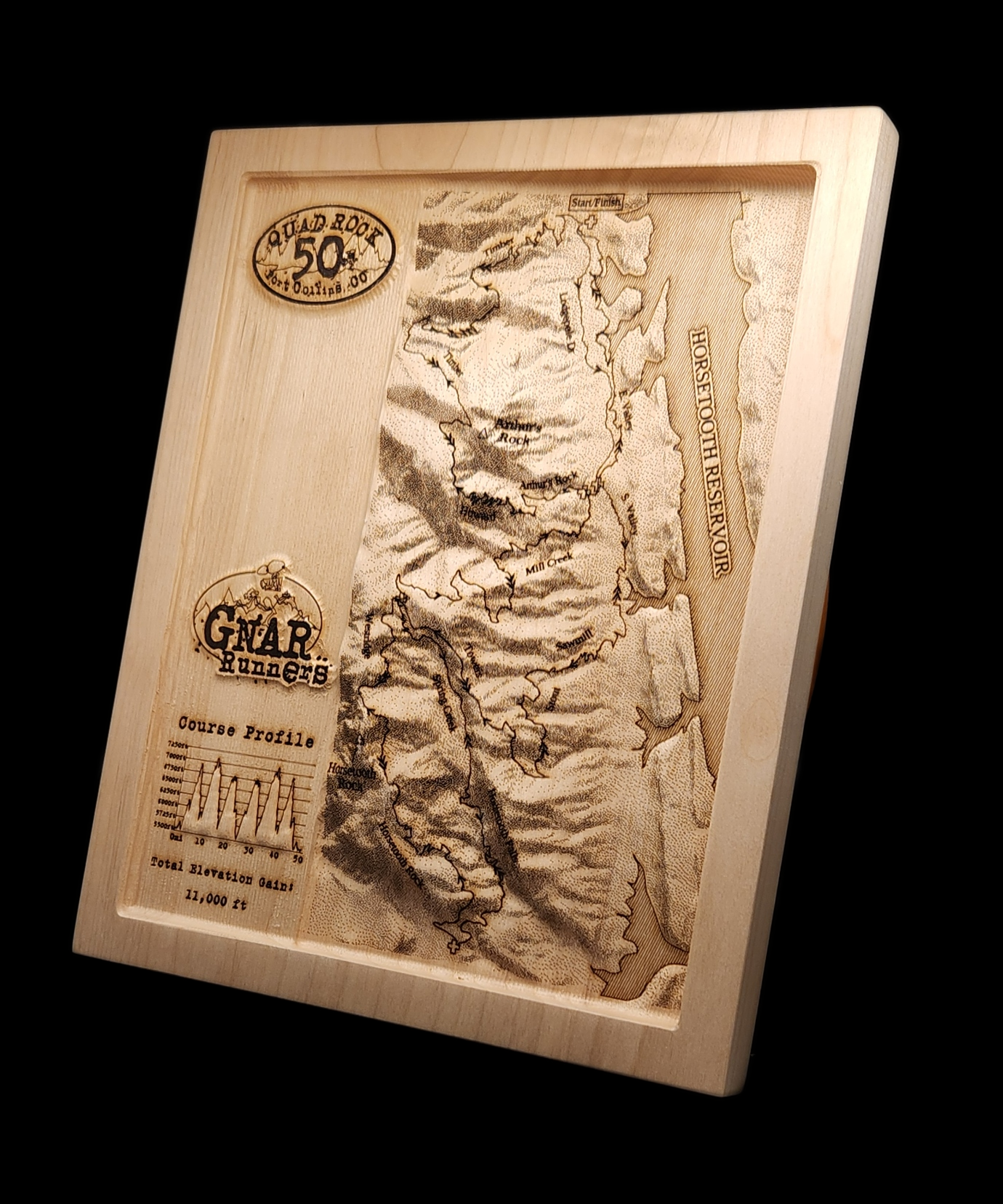 2025 Quad Rock 50 3D Race Map