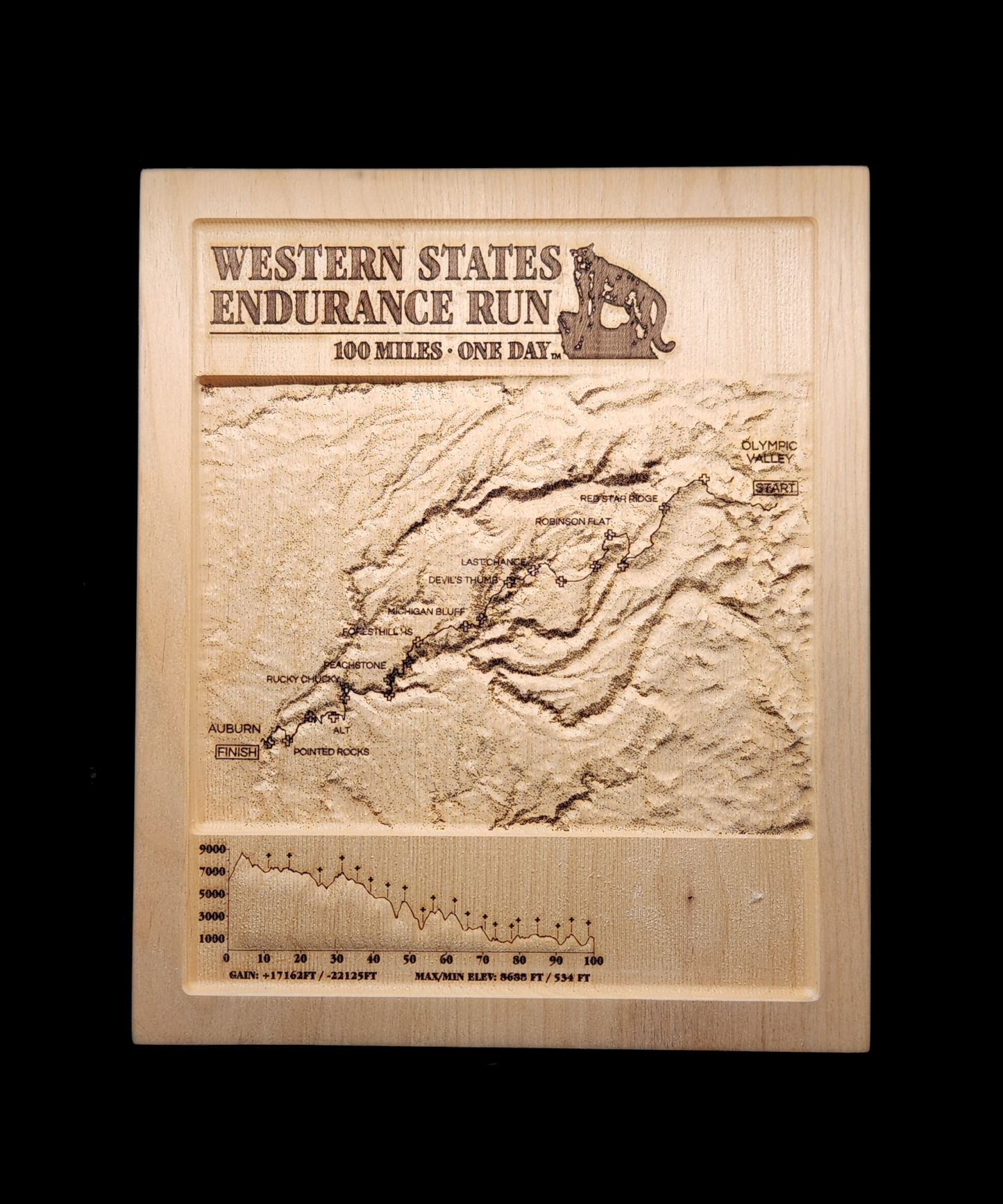 WESTERN STATES 100