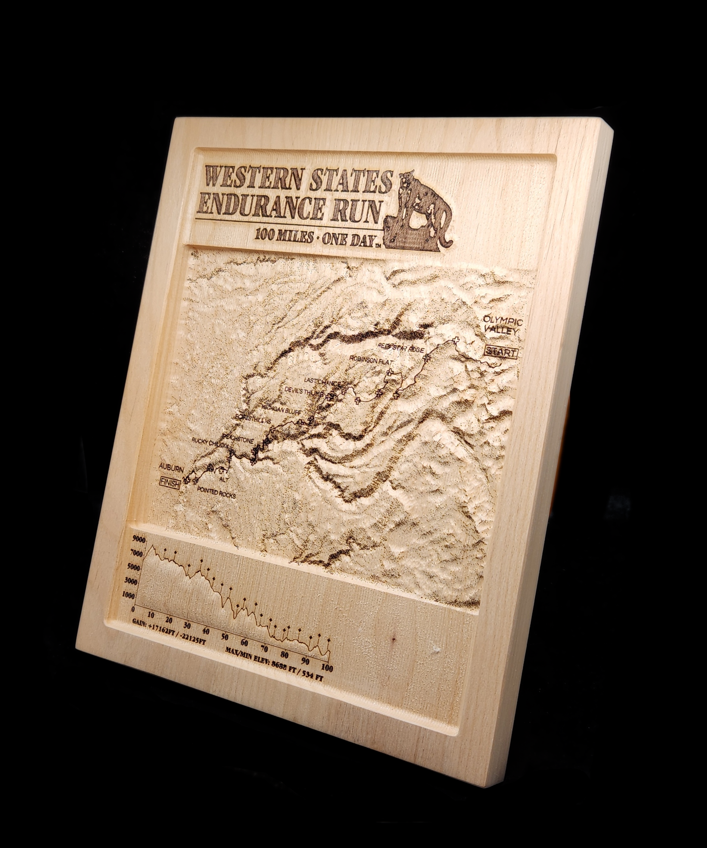 WESTERN STATES 100
